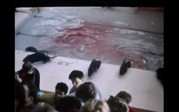 screen-shot-2016-09-28-at-8-31-31-pm