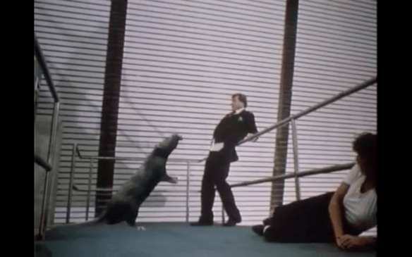 screen-shot-2016-09-28-at-8-32-50-pm