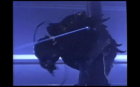 screen-shot-2017-01-23-at-8-08-40-pm