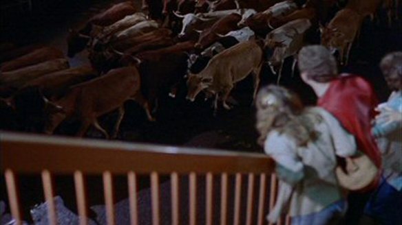 tnmjf7aozfxsg7uixauuht57ewt